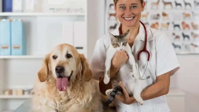 Pets and Pet Care